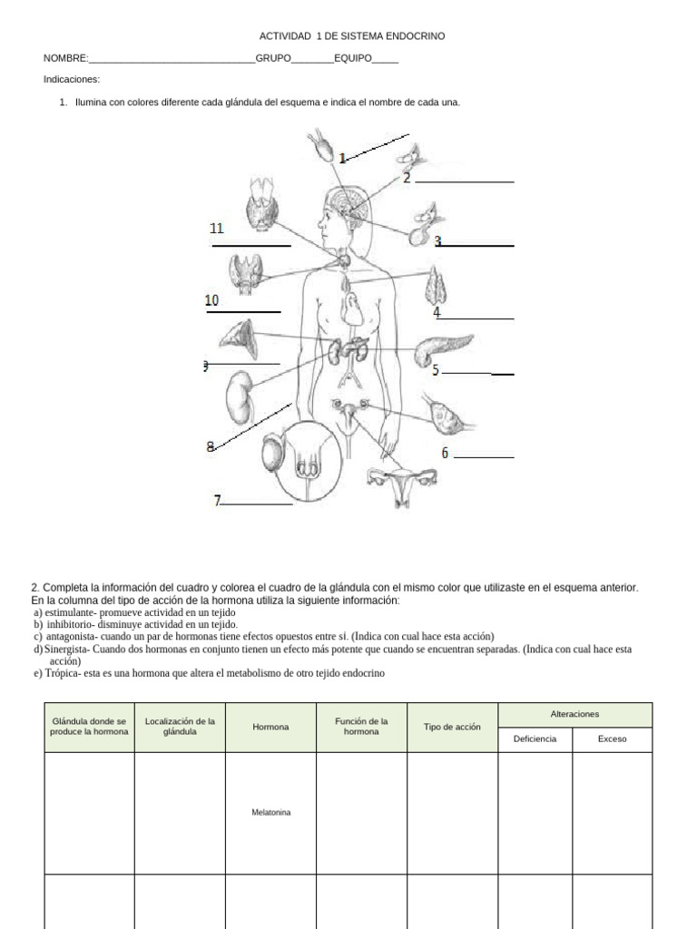 Act 1 Endocrino Glandulas y Hormonas | PDF | Hormona | Sistema endocrino