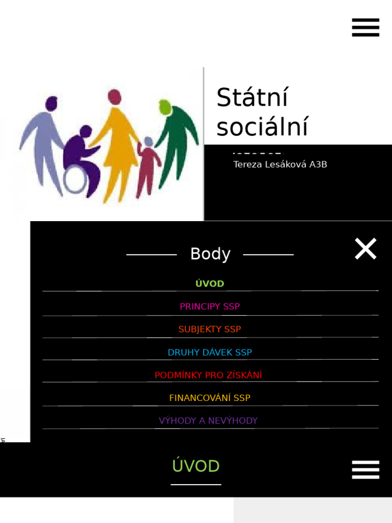 SSP Prezentace | PDF