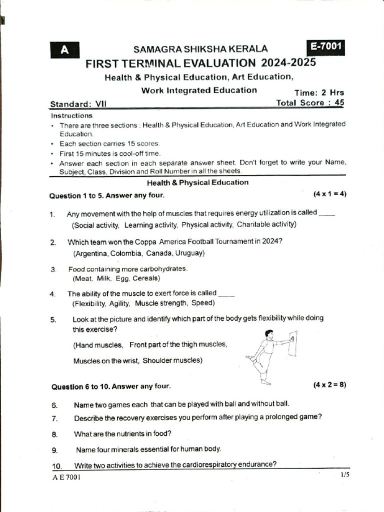 Class 7 First Term Onam Exam 2024 Art, WE, PET Question Paper EM | PDF