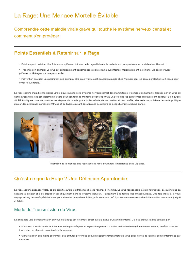 Comprendre la Rage : Symptômes et Prévention | PDF | Rage (maladie ...