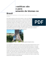 Espécies exóticas são utilizadas para reflorestamento de biomas no Brasil