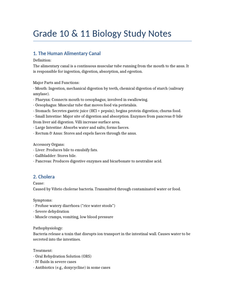 Grade 10-11 Biology Study Notes | PDF | Digestion | Glucose