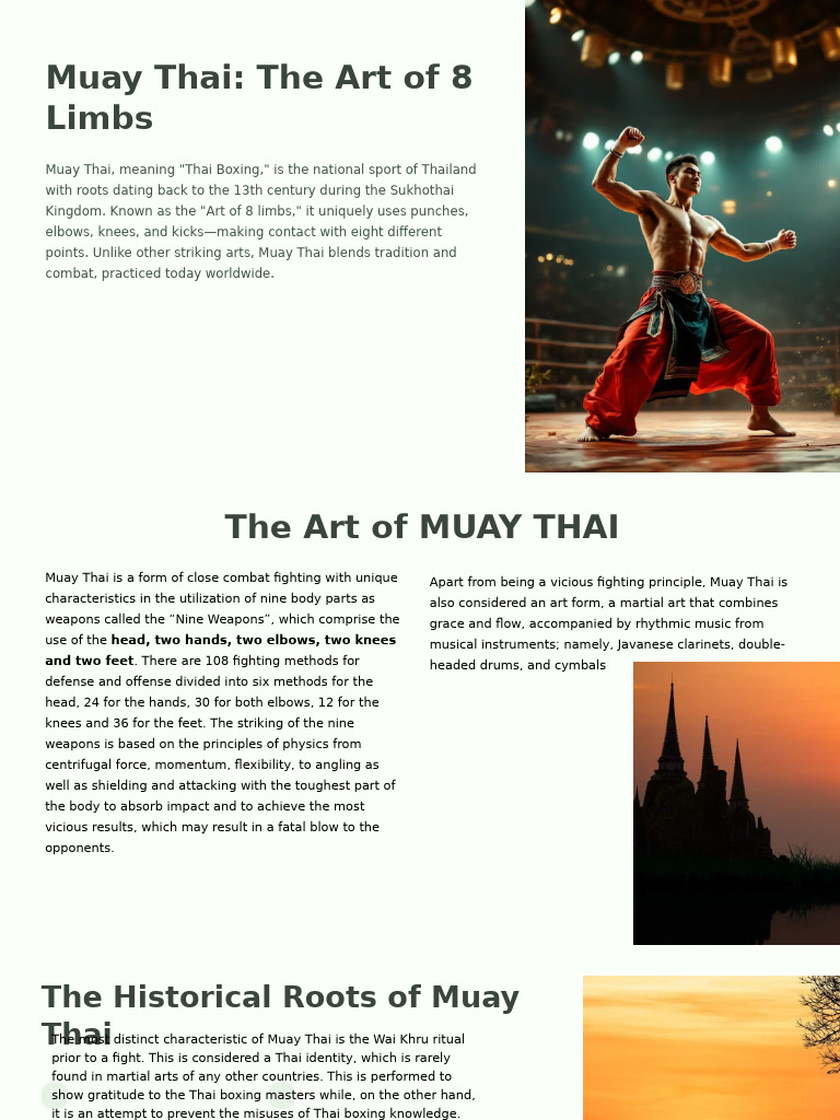 Understanding Muay Thai: The 8 Limbs Art | PDF | Muay Thai | Thailand