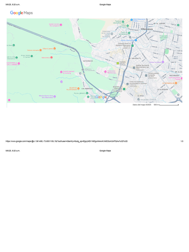 Google Maps Data Overview 2025 | PDF