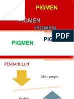 OPTIMALKAN WARNA