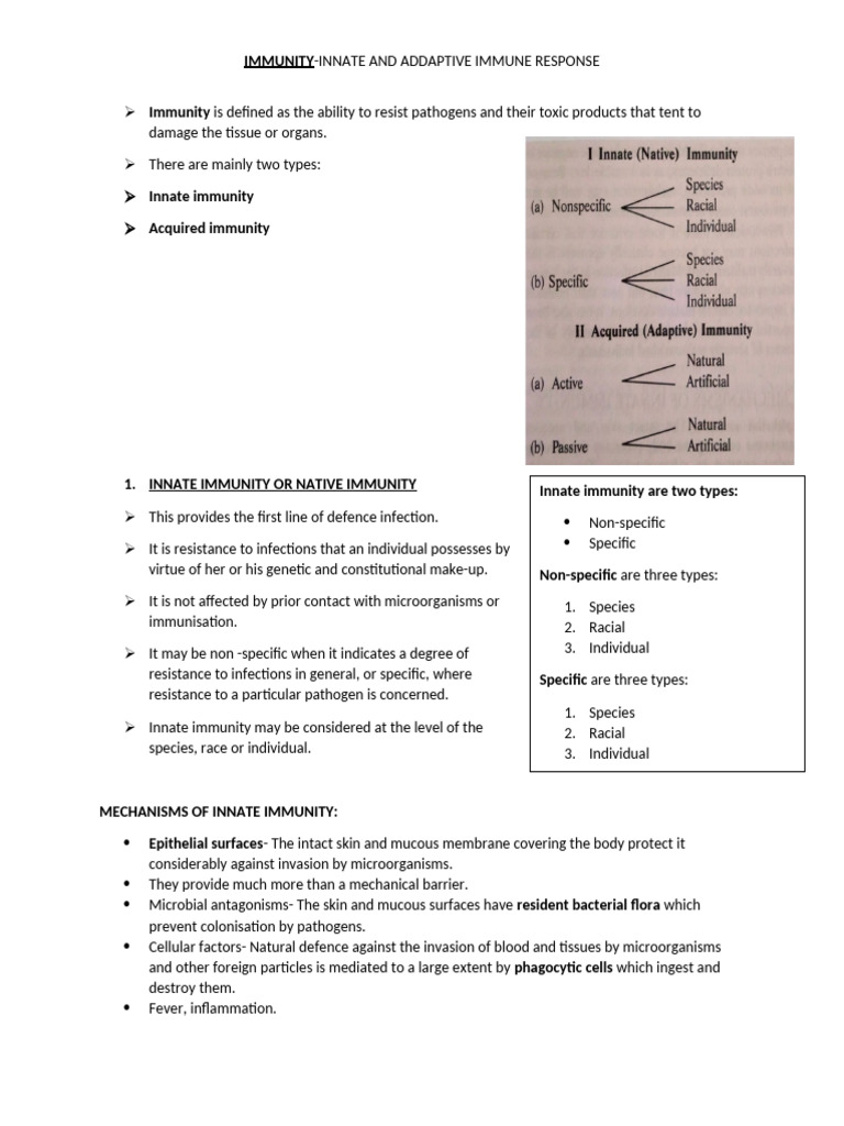 Understanding Innate and Adaptive Immunity | PDF | Immune System ...
