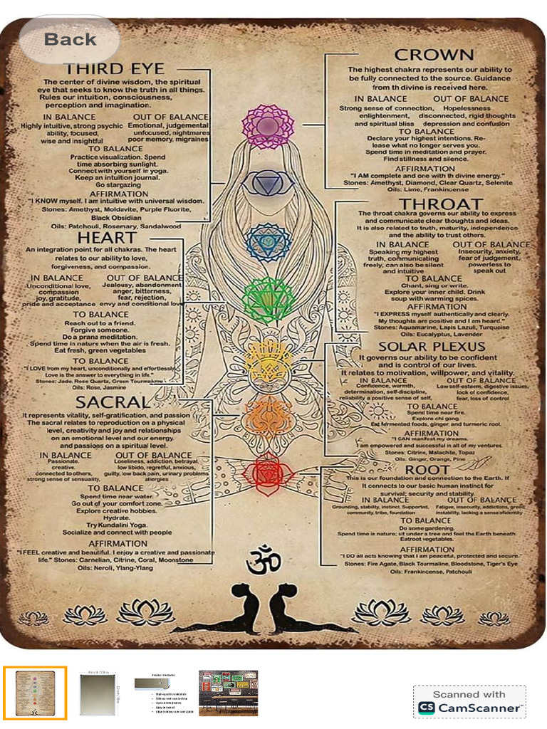 Chakra Summary LB | PDF