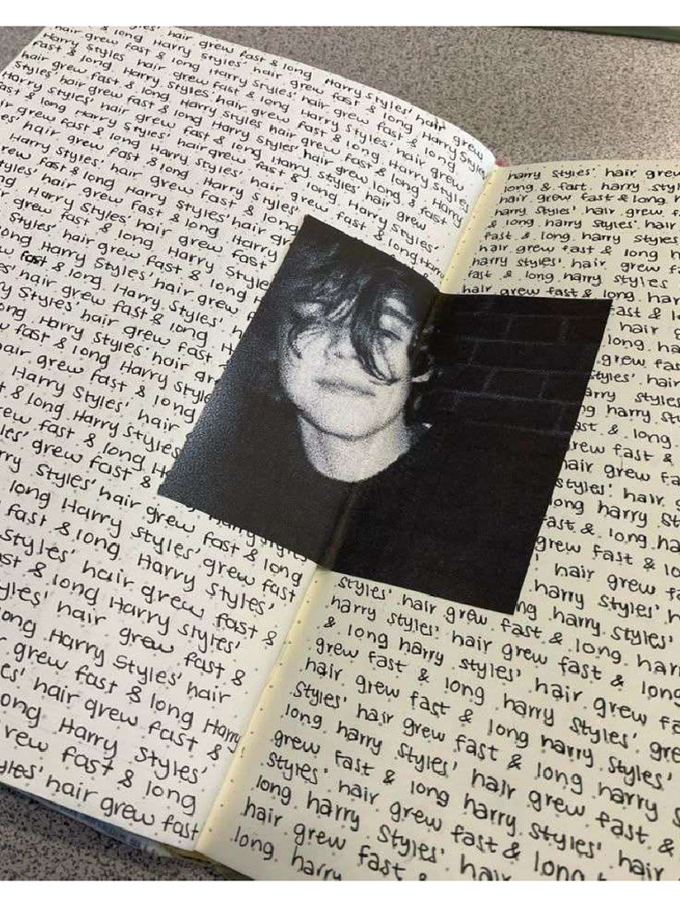 Harry Styles Journal ? | PDF