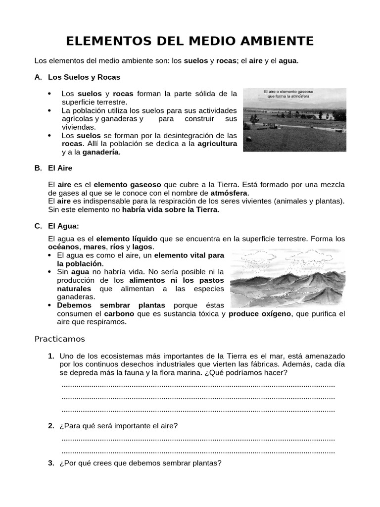Elementos Clave del Medio Ambiente | PDF | Agua | Entorno natural