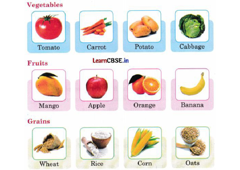 Fruit | PDF