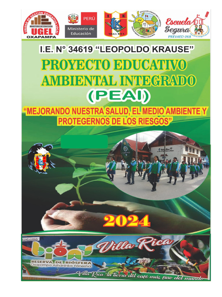 Proyecto de Educacion Ambiental Integral (Peai) Lk-2024 (2) | PDF ...