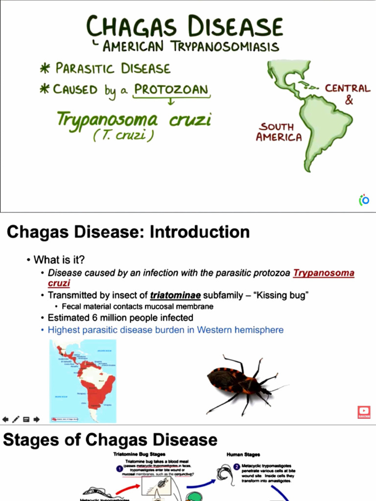 Chagas Disease | PDF