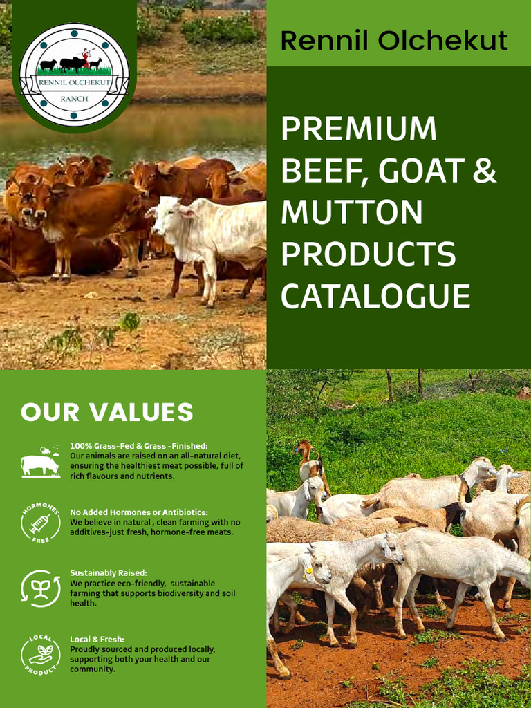 Rennil Olchekut Premium Meat Guide | PDF | Lamb And Mutton | Offal