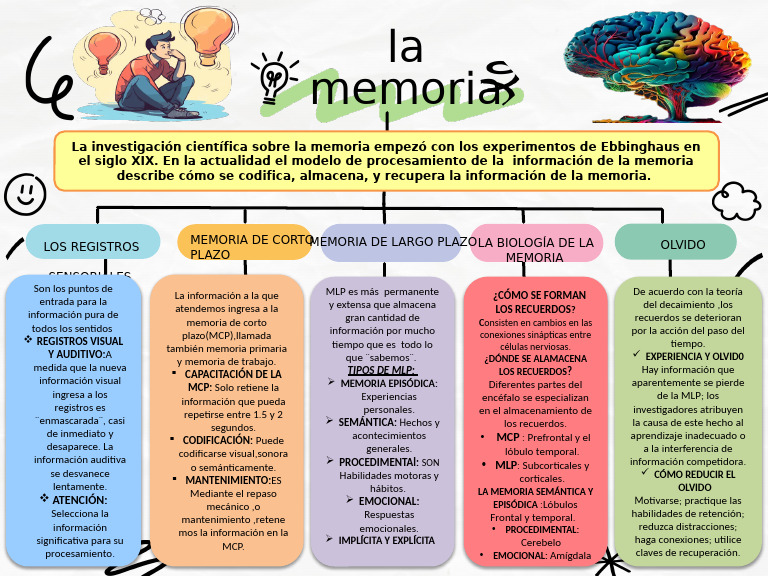 Tipos y Procesos de la Memoria Humana | PDF | Memoria | Neurociencia