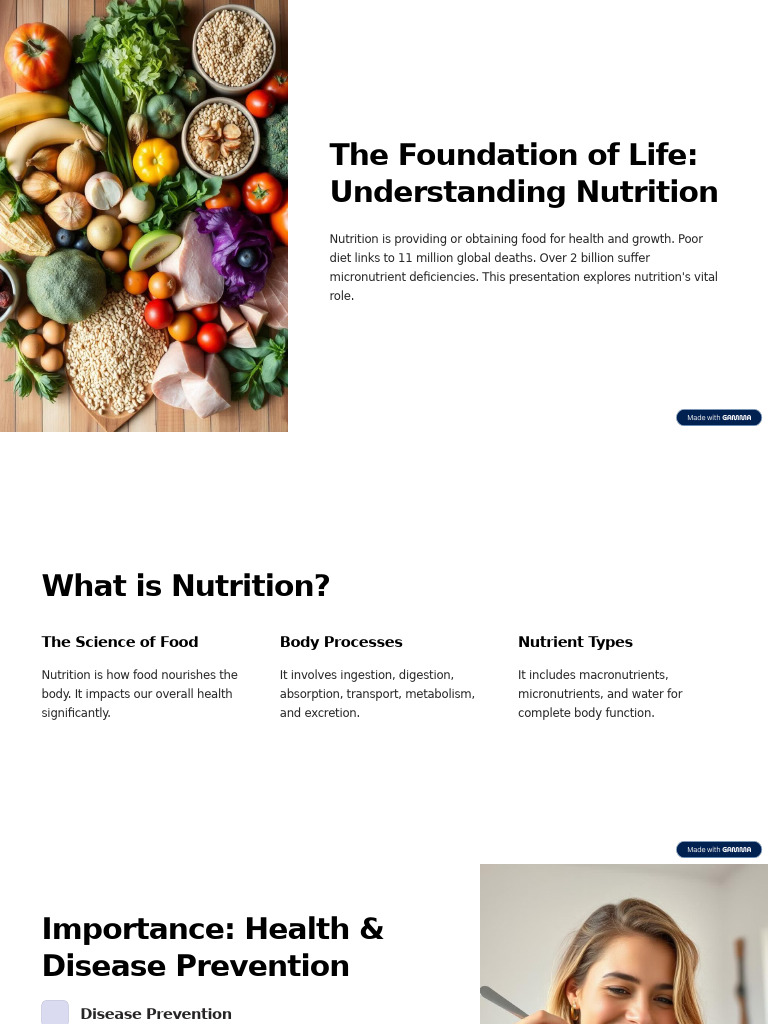 The Essential Guide to Nutrition Basics | PDF | Nutrition | Diet ...