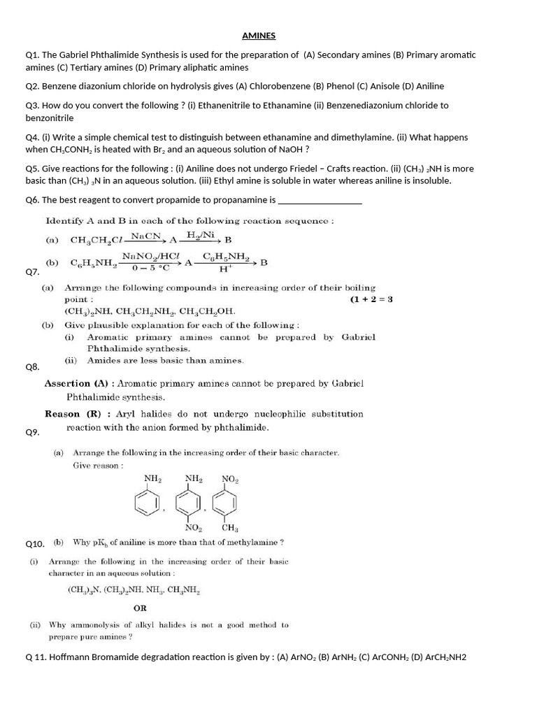 AMINES Assignment XII 2025 | PDF | Amine | Organic Chemistry