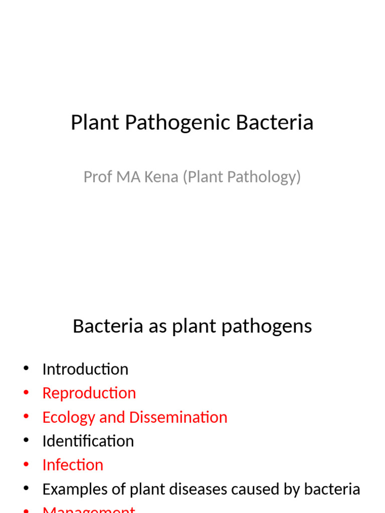 Bacteria As Plant Pathogens . | PDF | Bacteria | Cell (Biology)