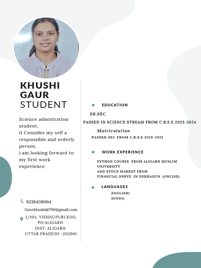White Minimalist Web Developer Resume | PDF