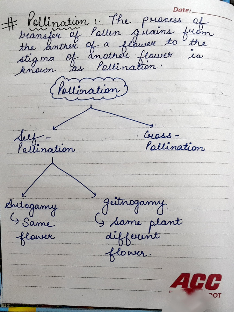 SRIFP CH 1 NOTES Handwritten Notes Neet Nta Boards Cbse | PDF | Seed ...