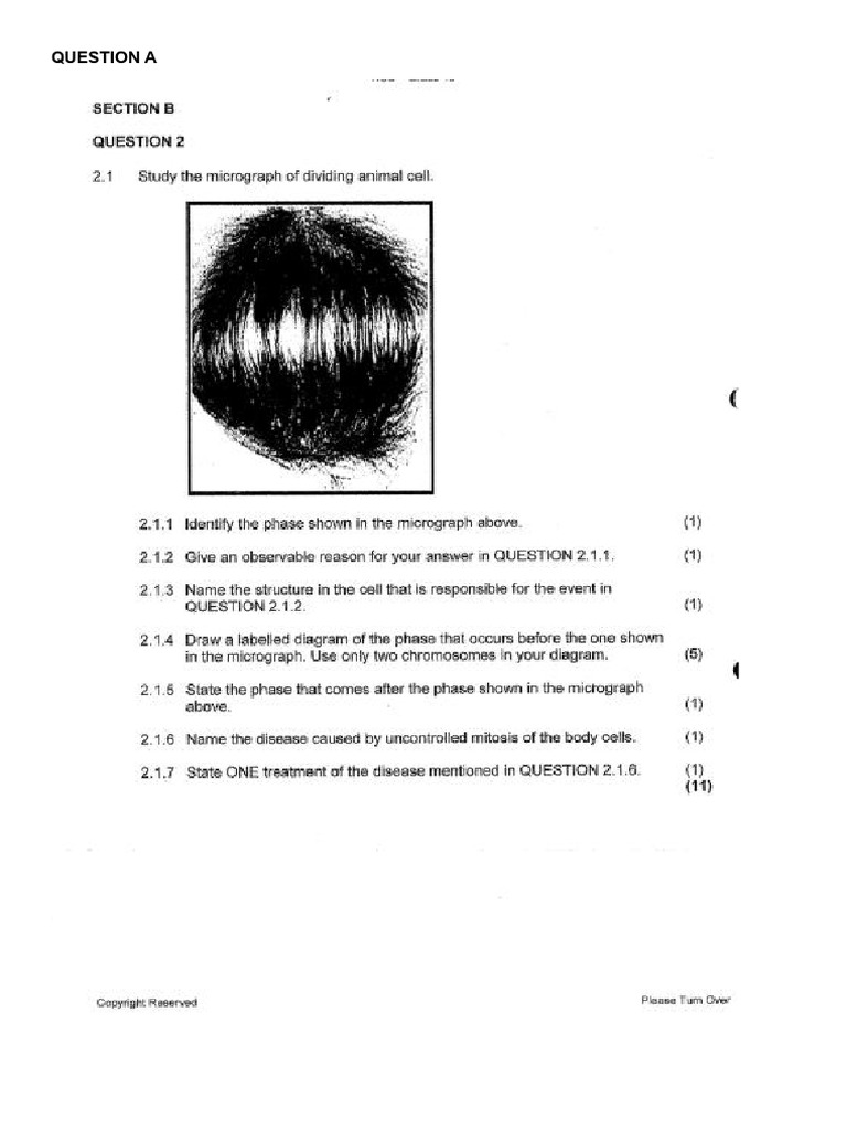 Topic 3 Worksheet | PDF