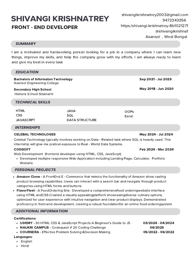 Front-End Developer Resume Summary | PDF | Java Script | Websites