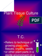 Introduction of Plant Tissue Culture