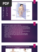Integumentary System Combining Forms | PDF | Skin | Integumentary System