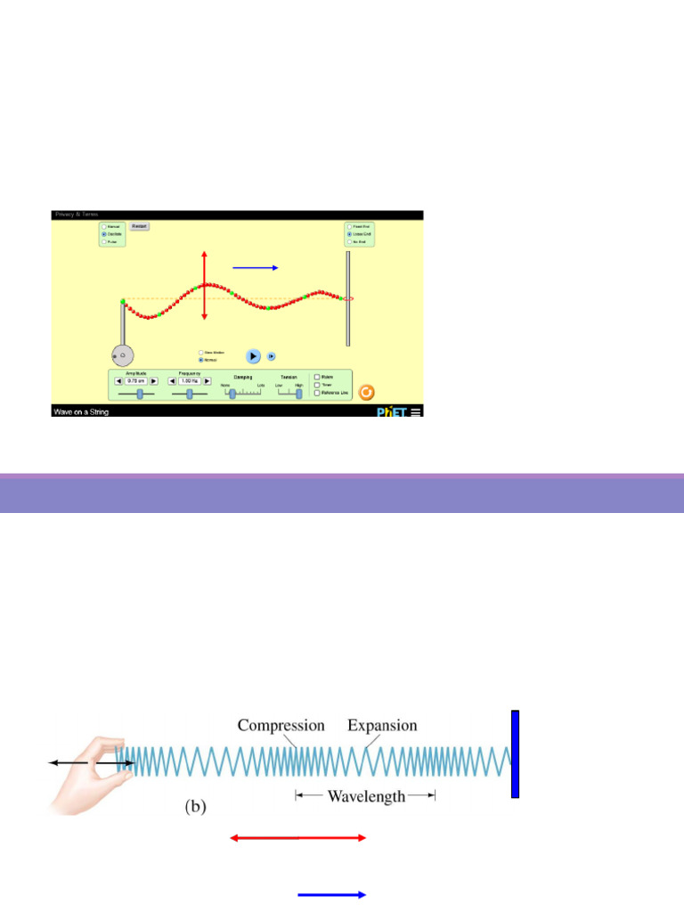 Types and Properties of Waves Explained | PDF | Waves | Wavelength