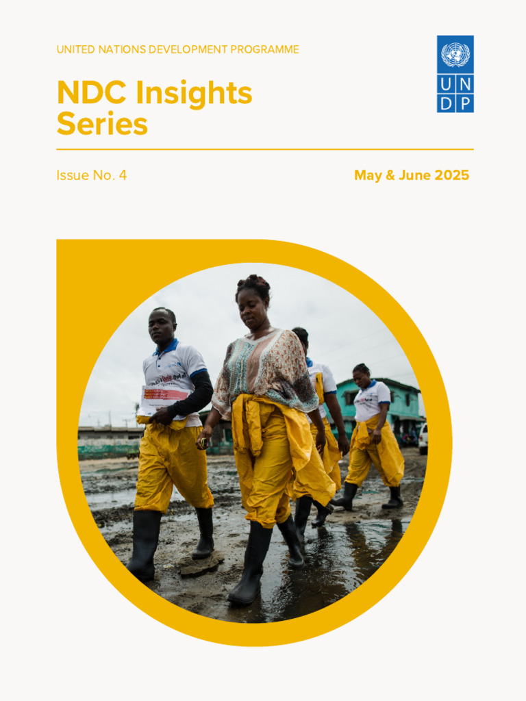 NDC Insights: Investment in Climate Action | PDF | Climate Change ...