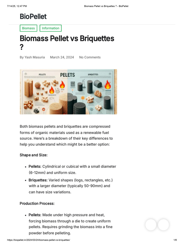 Biomass Pellet Vs Briquettes - BioPellet | PDF | Stove | Chemical ...
