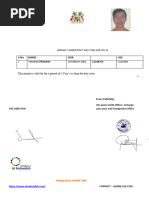 Maldives IM30 Work Visa Application Form | PDF | Identity Document ...