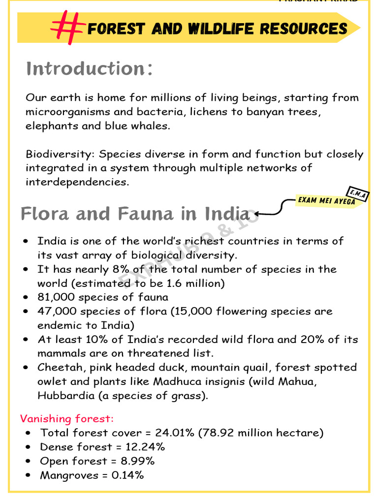 Forest and Wildlife Resources Prashant Kirad 25072 250722 193422 | PDF ...