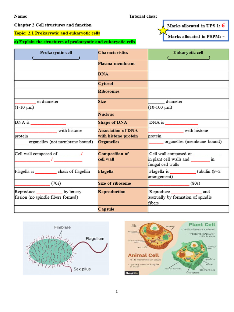 Chapter 2 | PDF | Tissue (Biology) | Cell Membrane