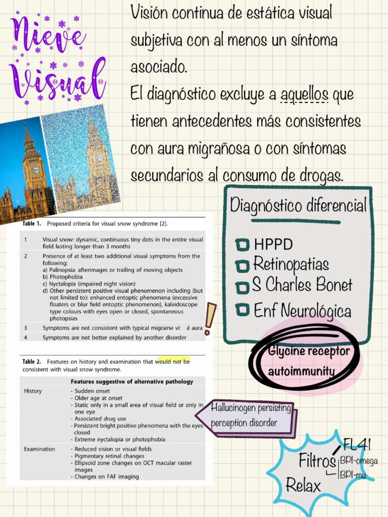 Nieve Visual | PDF