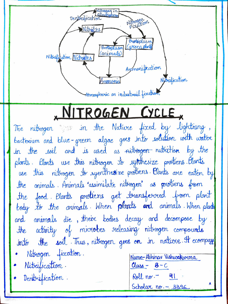 3396 Abhinav Vishwakarma 8-c Science Project | PDF