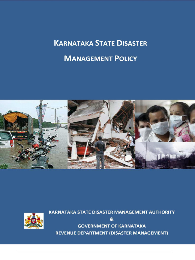 Policy Revision DM2020 | PDF | Emergency Management | Disaster Risk ...