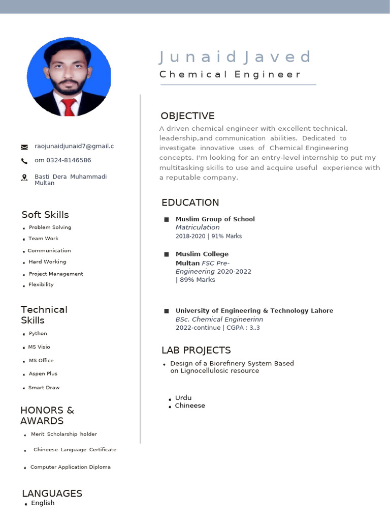 Modern Minimalist CV Resume - 6.Pdf - 4 | PDF