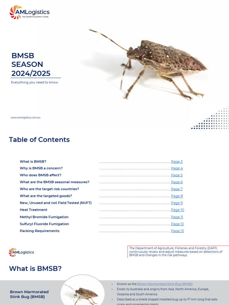BMSB Seasonal Measures 2024-2025 Overview | PDF | Materials