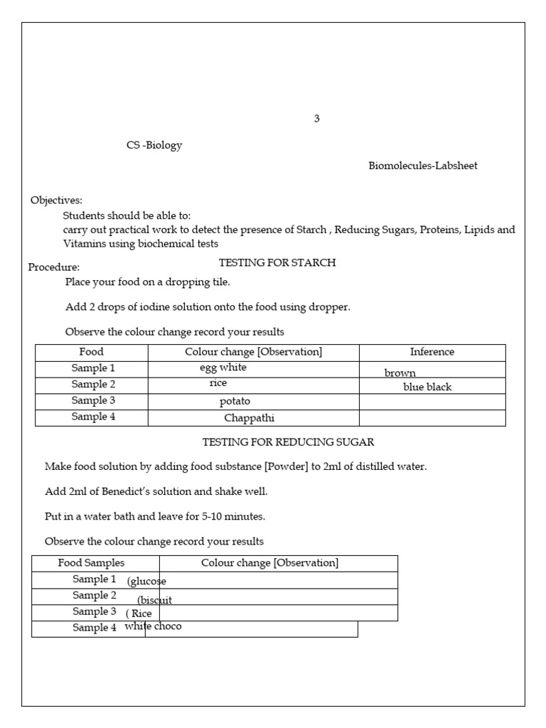 Food Testing Procedures and Observations | PDF | Foods | Chemistry