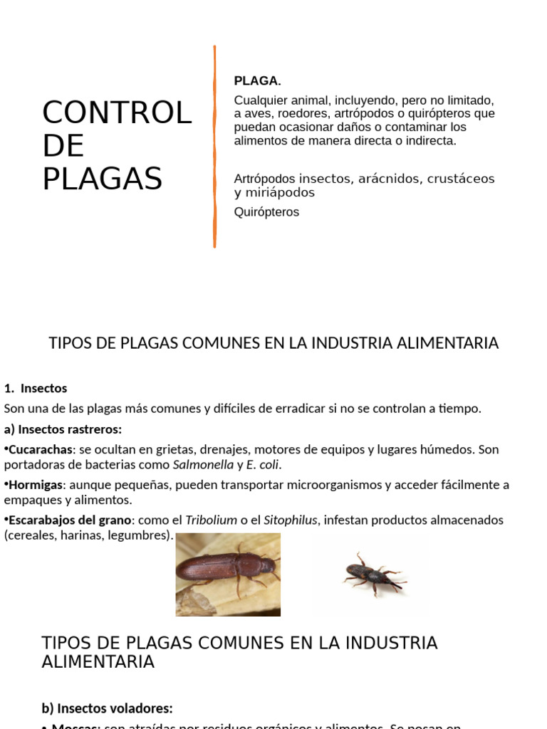 Control de Plagas en la Industria Alimentaria | PDF | Control de plagas ...