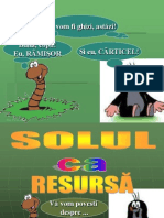 Solul