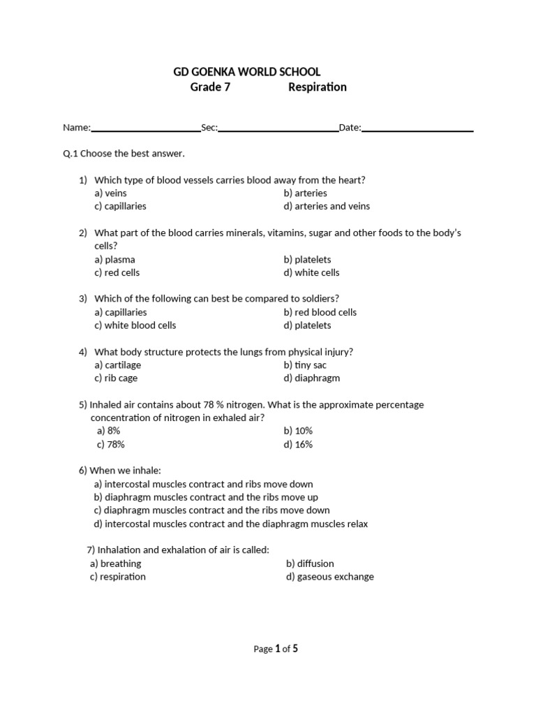 Grade 7 Respiration Quiz and Worksheet | PDF | Breathing | Respiratory ...