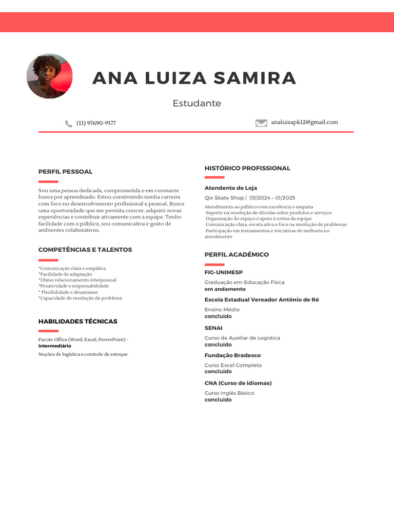 Perfil Profissional de Ana Luiza Samira | PDF | Comunicação