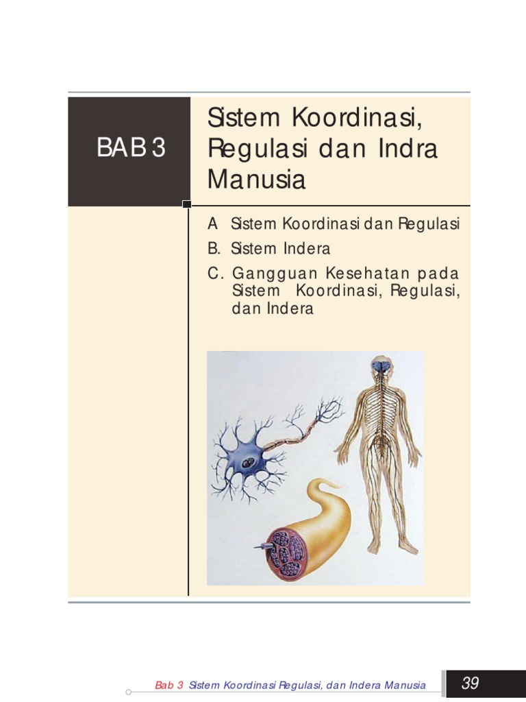 Ipa Kls 9 Bab 3 Sistem Koordinasi Regulasi Dan Indra