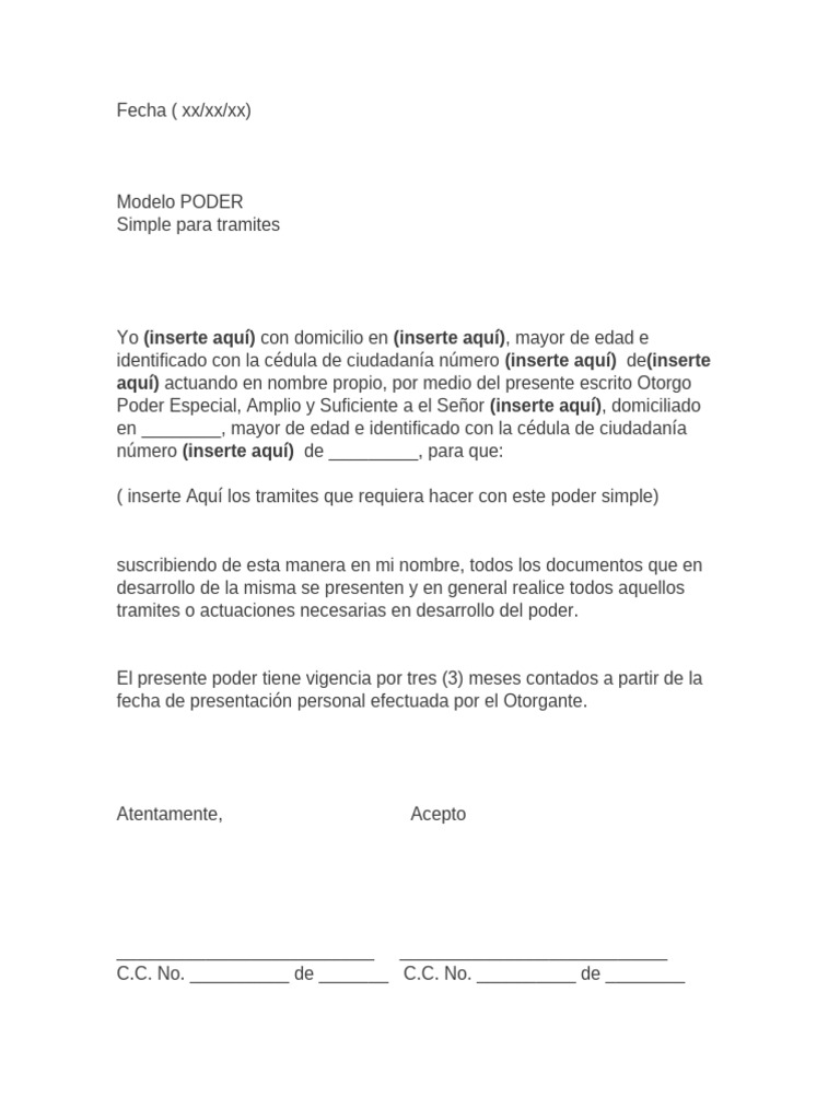 Modelo de Poder Simple para Trámites | PDF