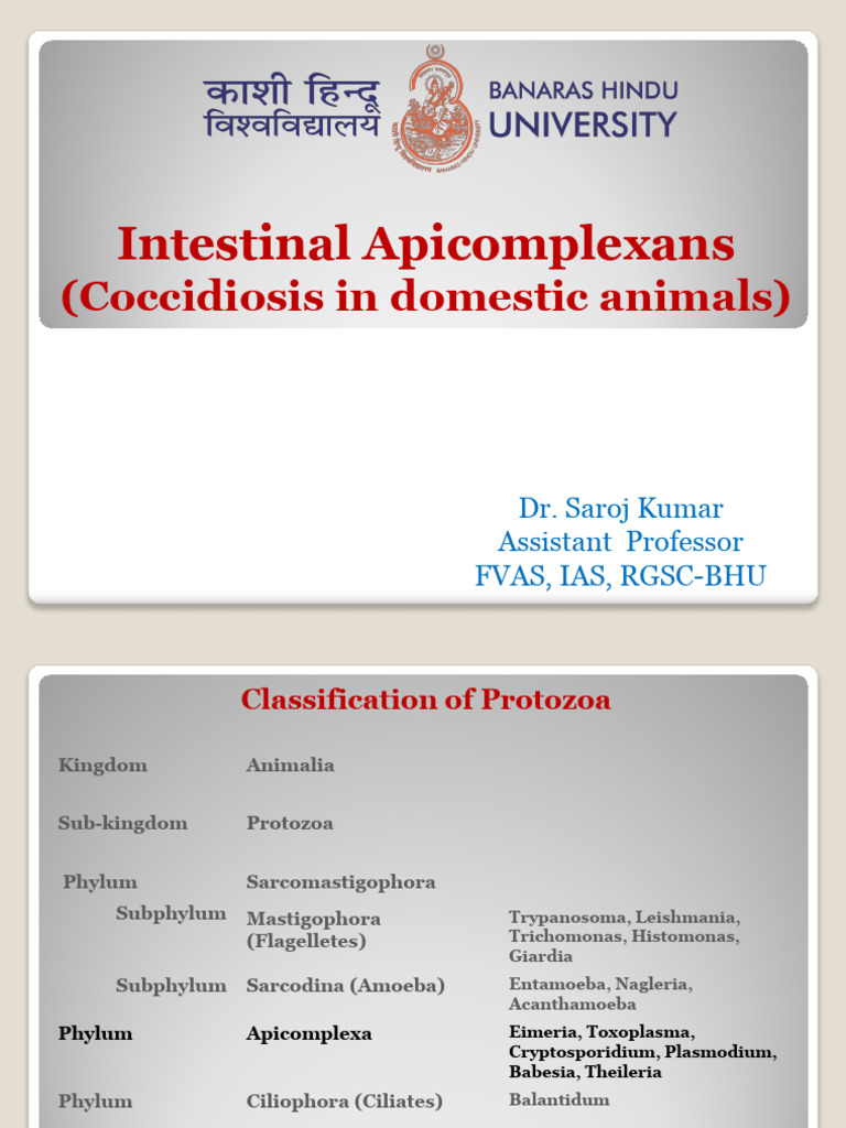 Klossiella equi in Intestinal Apicomplexans | PDF | Medical Specialties ...