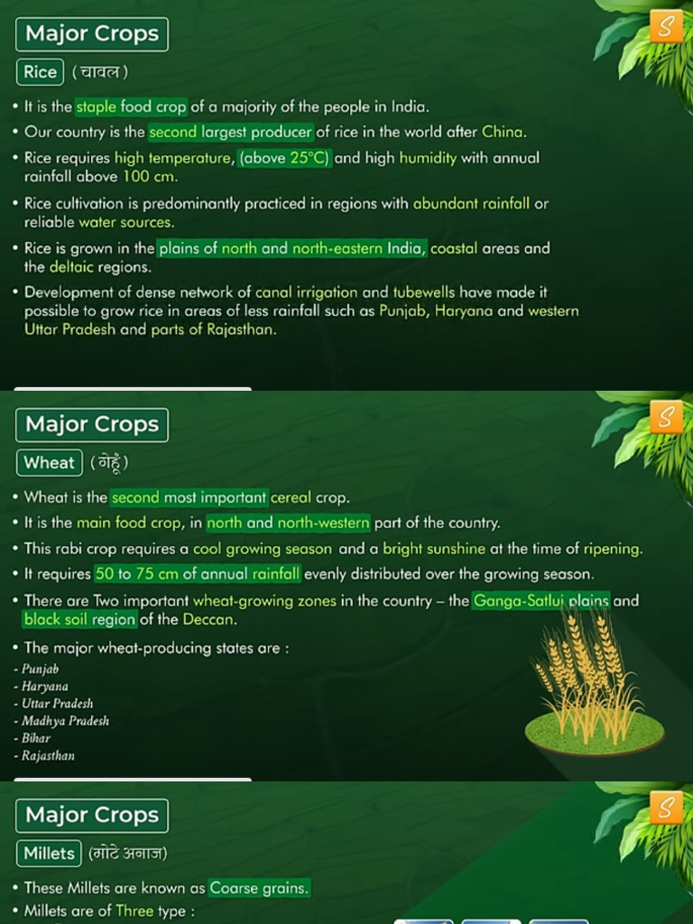 Crops | PDF
