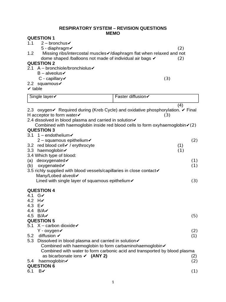 Respiratory System Revision Questions | PDF | Respiratory System | Blood