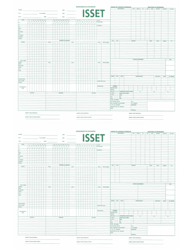 Formato Isset | PDF