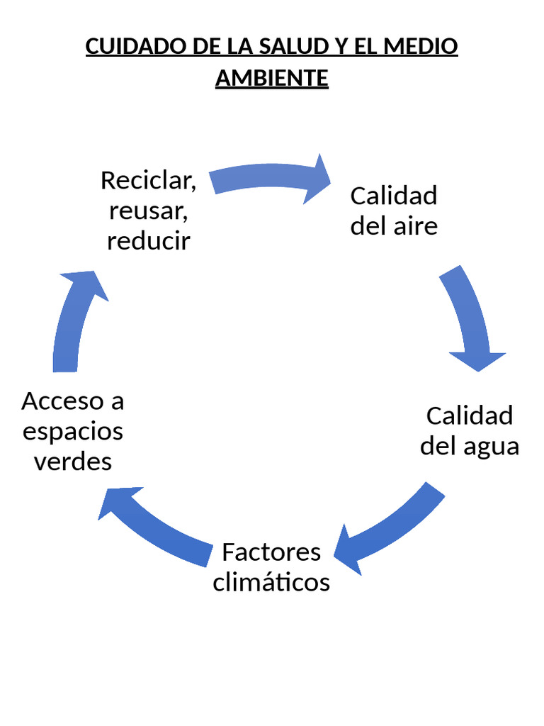 Cuidado de La Salud y El Medio Ambiente - Diagrama | PDF